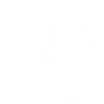 https://www.twistedrootss.com/